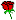 rose :rose