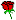 :rose